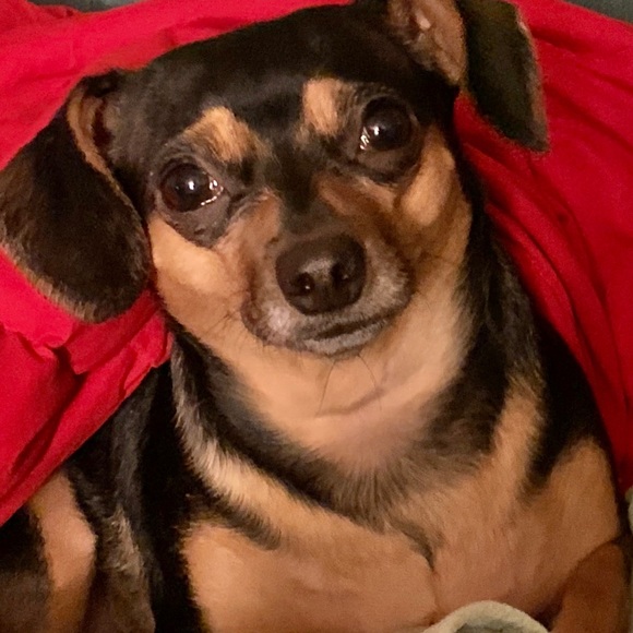 Meet your Posher, Tammy - Picture 2 of 2